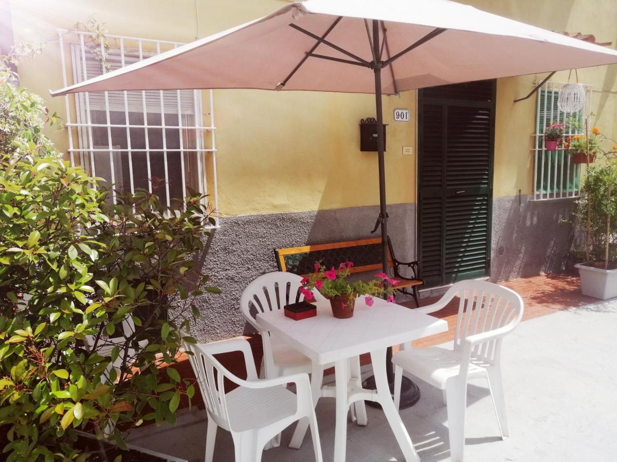 Pierina Apartment Lucca Bagian luar foto